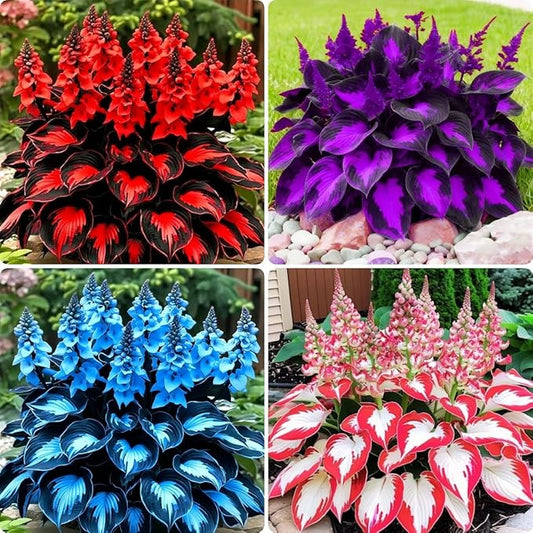 110 Pcs Fragrant Hosta Flower Seeds for Planting Easy Growing Perennial Shade Plants, Green Foliage for Garden Landscaping & Home Decor