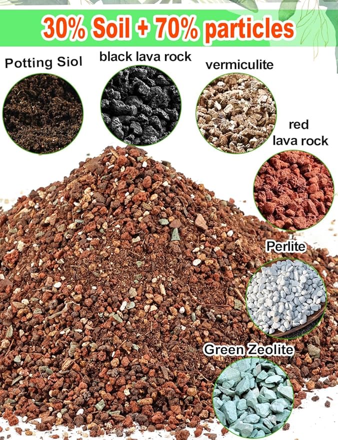 TOYPOPOR Succulent Soil, Cactus Potting Mix 6 Pounds/3QTS, High Drainage, Pre-Mixed Ready to Use for All Succulent Varieties, Indoor Plants, Bonsai, Terrarium, Houseplant, 70% Particles 30% Soil