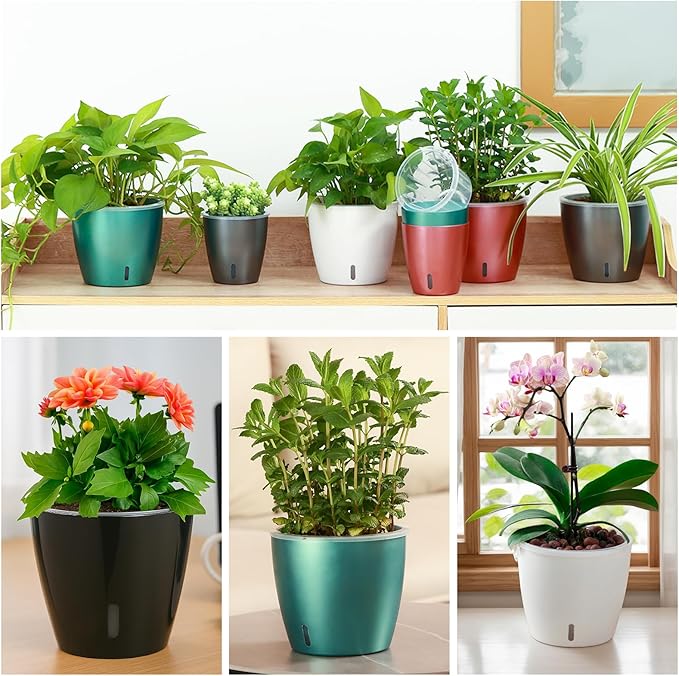Self Watering Pots for Indoor Plants, 6-Pack 5'' Self Watering Planter with Drainage Holes, Small African Violet Pots with Water Indicator, Clear Wick Orchid Pot, White