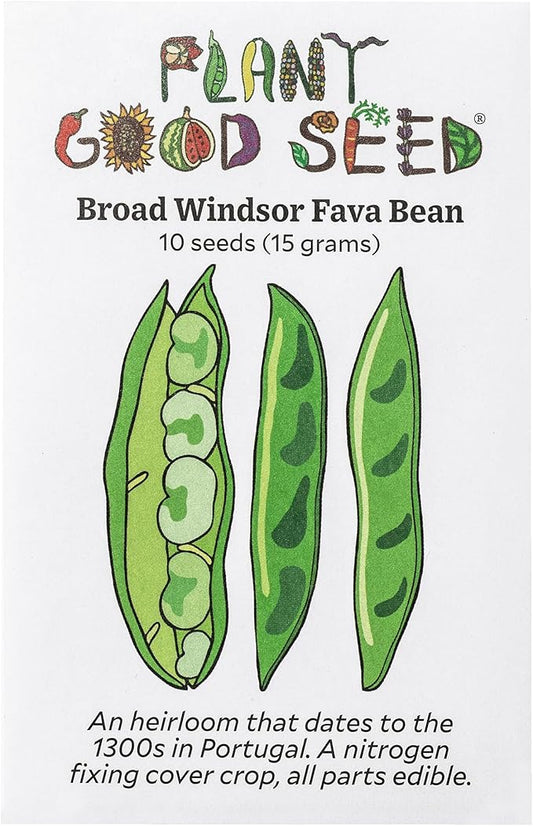 Plant Good Seed Organic Broad Windsor Fava Bean Seeds for Planting: Heirloom Vegetable, Large Green Pods - 10 Seed Packet