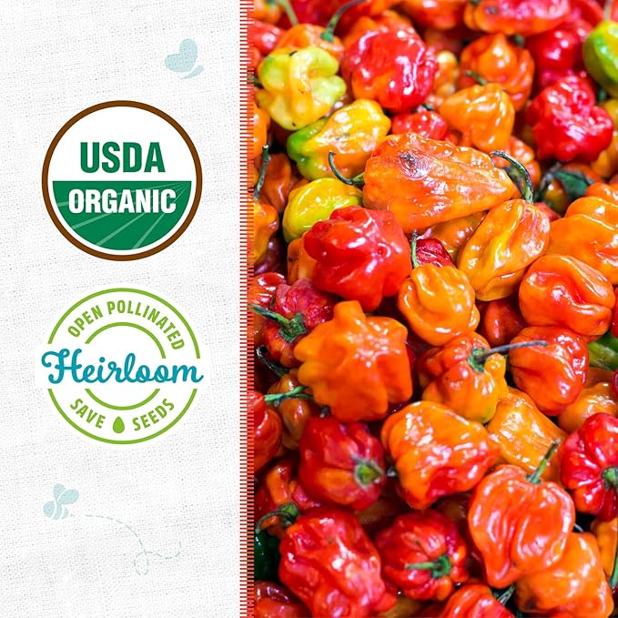 Back to The Roots 100% Organic Seed Packet - Pepper, 'Habanero' 140mg