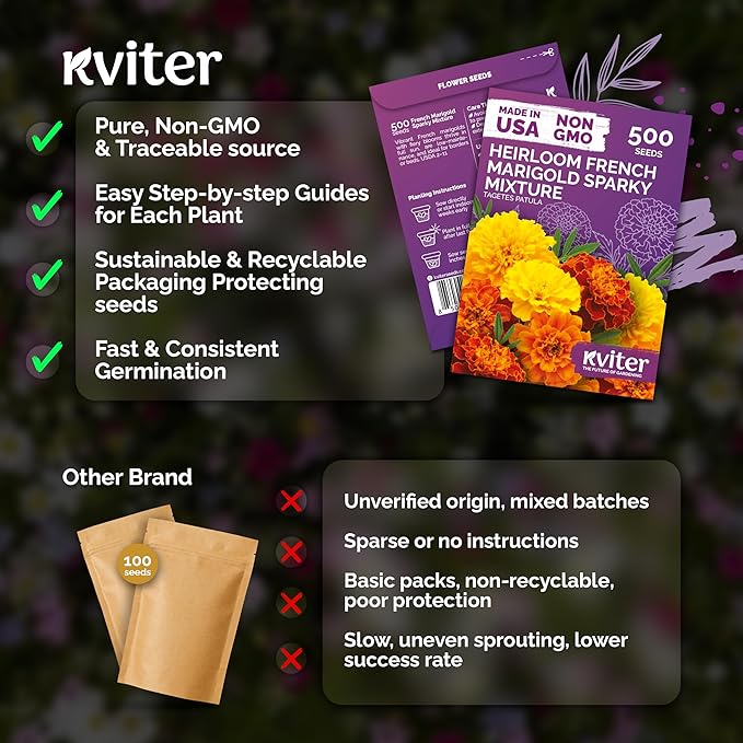 KVITER 500 French Marigold Seeds, Sparky Mix (Tagetes patula) — Marigold Flowers, Heirloom, Non GMO & Organic, Vibrant Yellow & Orange Blooms — Flower Seeds to Plant Outside, Borders, Beds, Container
