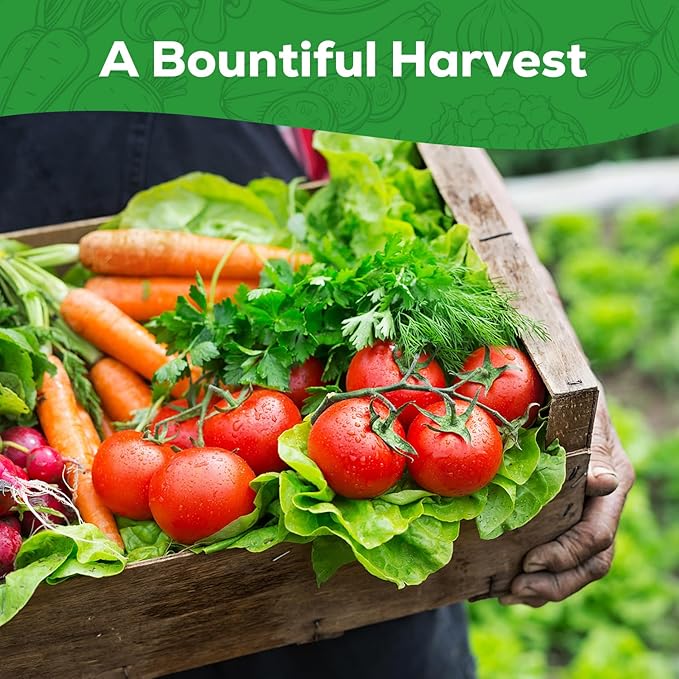 30 Heirloom Vegetable Seeds for Planting, 12,000+ Garden Seeds - Non-GMO Vegetable, Herb, Fruit Seeds - Survival Seed Vault with Tomato, Basil, Lettuce, Bean, Pepper, Squash and More