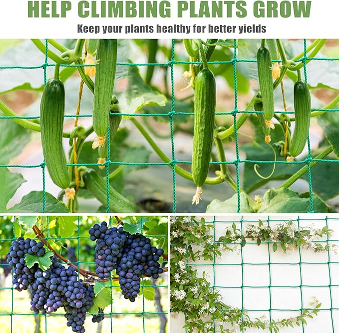 Trellis Netting, Heavy Duty Garden Trellis Netting for Climbing Plants Outdoor w/Plant Clips, 6.6x9.85 Ft Plant Netting for Cucumber, Tomato, 27 Strands & 4x4 in Mesh, Grow Net for Fruits, Vegetables