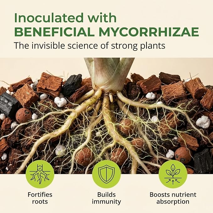 Molly's Aroid Mix - Premium Soilless Potting Mix for Houseplants - Fast Draining, Chunky & Easier to Water vs. Soil for Indoor Plants - with Bark, Coco Chips, Worm Castings, Mycorrhizae 5 Dry Quarts