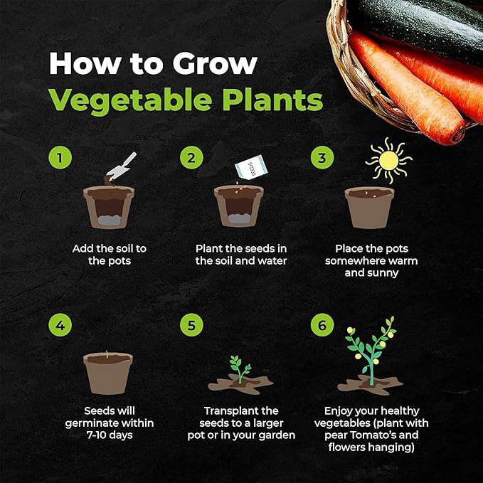 Vegetable Seeds Gift Set - Easily Grow Your Own 10 Vegetable Seeds Starter Kit | Beginner Friendly Vegetable Grow Kit - Unique Gift Idea