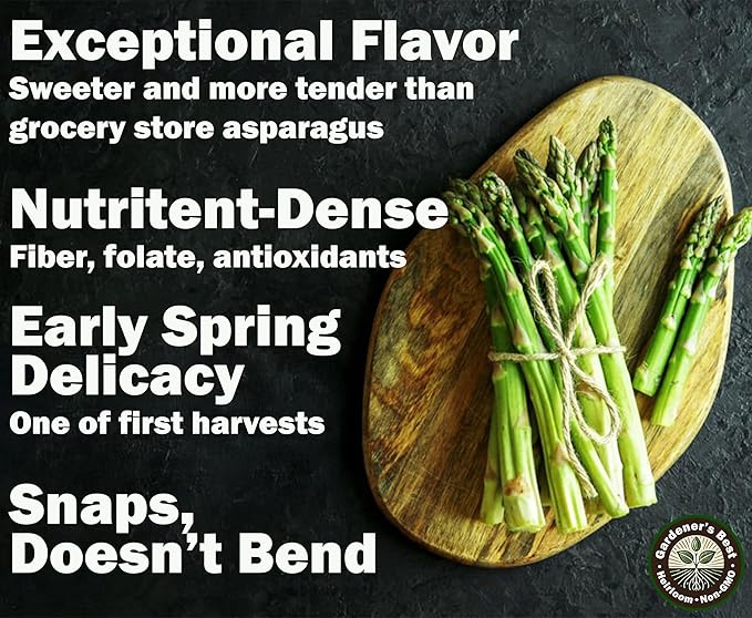 Mary Washington Asparagus Seeds for Planting – Organic, Non-GMO, Perennial Vegetable – Cold Hardy