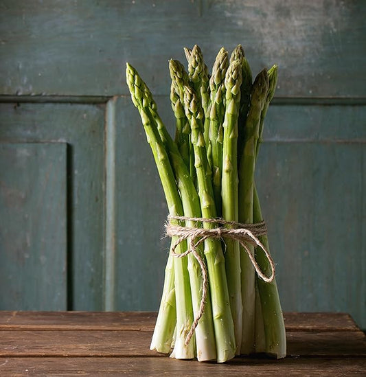Mary Washington Asparagus Seeds for Planting – Organic, Non-GMO, Perennial Vegetable – Cold Hardy