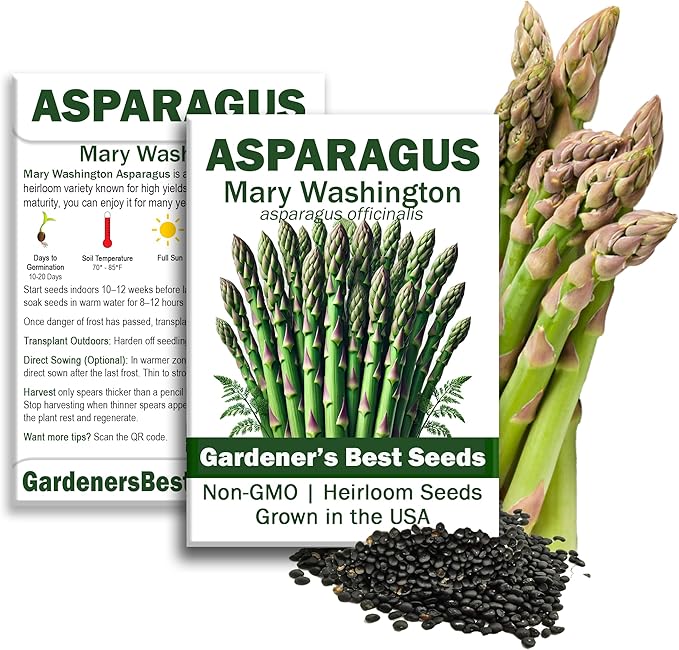 Mary Washington Asparagus Seeds for Planting – Organic, Non-GMO, Perennial Vegetable – Cold Hardy