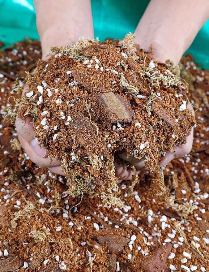 TOYPOPOR Orchid Potting Mix for Repotting with Moss Pine Bark Mulch Perlite Stone and Coco Peat Natural Ingredients, Orchid Bark Potting Mix Orchid Repotting Kit Drainage Indoor Potting Medium 1qt