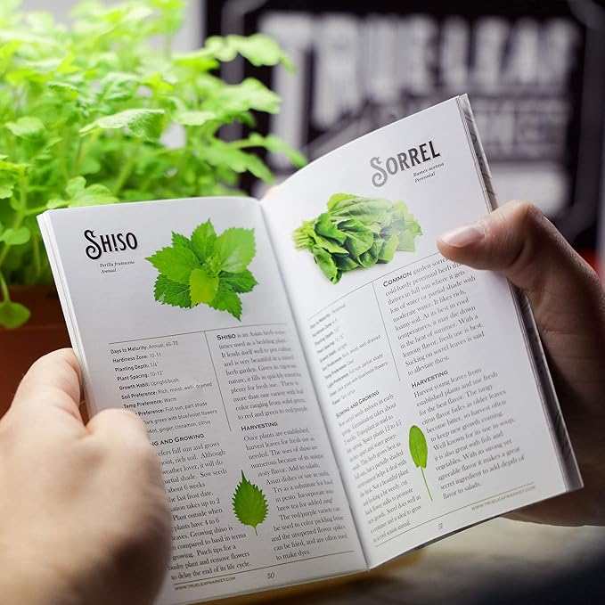 Culinary Herb Seeds Variety Pack – 10 Non-GMO Herb Seeds for Indoor & Outdoor Gardens – Includes Basil, Dill, Rosemary, Thyme & More with Planting Guide Book