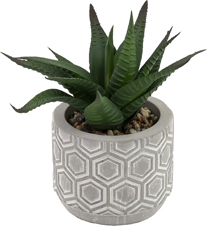 Boston International Decorative Faux Succulent Plants, Set of 6, Society of Succulents