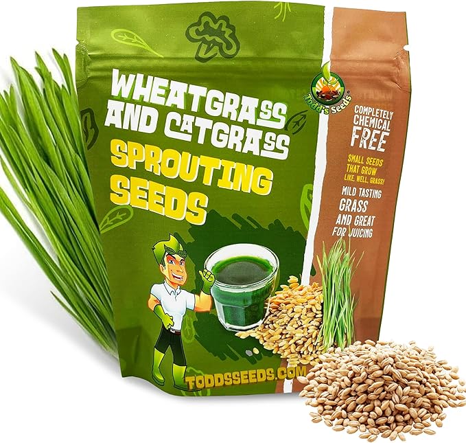 Todd's Seeds Wheatgrass Seeds; Hard Red Winter Wheat, Non-GMO, Chemical Free, High Germination (2 1/2 Pounds)
