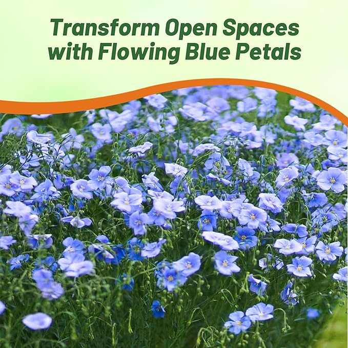 Outsidepride Blue Flax Seeds - 5 lbs Perennial Flower Seeds for Planting, Self-Seeding, Drought-Tolerant w/Compact Growth, Ideal for Small Gardens, Meadows, Borders, or Mass Plantings