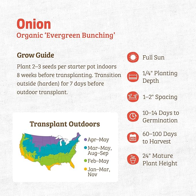 Back to The Roots 100% Organic Seed Packet - Onion 'Evergreen Bunching'