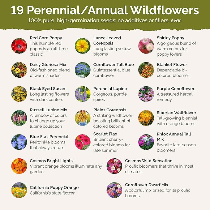 Eden Brothers New Jersey Wildflower Mixed Seeds for Planting, 5 lbs, 2,400,000+ Seeds with Cornflower, Coneflower | Attracts Pollinators, Plant in Spring or Fall, Zones