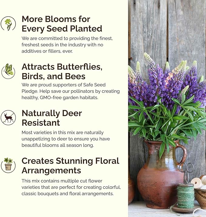 Eden Brothers Texas Wildflower Mixed Seeds for Planting, 5 lb, 2,400,000+ Seeds with Cornflower, Birds Eyes, African Daisy, Attracts Pollinators, Plant in Spring or Fall, Zones 3, 4, 5, 6, 7, 8, 9, 10