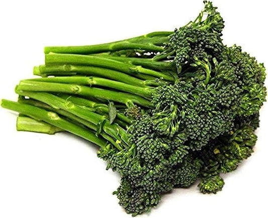 Organic Broccolini Seeds (100 Seed Pack) Seeds for Planting, Farm, Growing in Garden, Greenhouse, Vegetable, Fruit