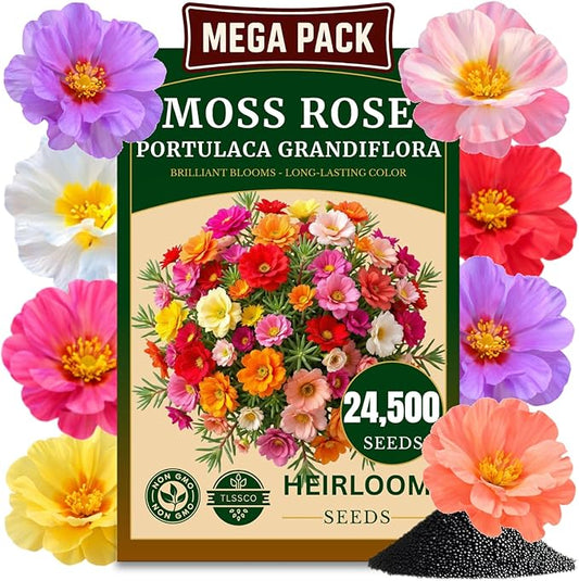 24500+ Moss Rose Seeds, Pack for 2026 USA Premium Non-GMO Flower Seeds Annual Flower for Ground Cover - Heat & Drought Tolerant Moss-Rose Purslane, Eleven O'clock