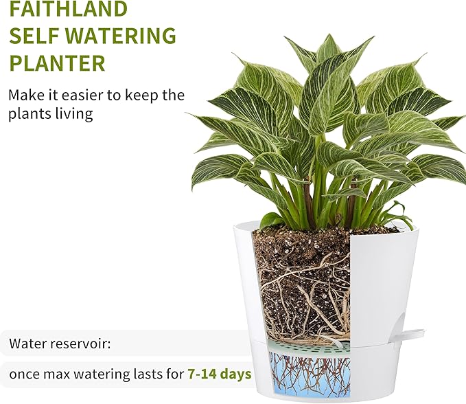 FaithLand 2-Pack 10 Inch Planter Pots for Indoor Outdoor Plants, Self Watering Flower Pots with Deep Reservoir, White with Terracotta …