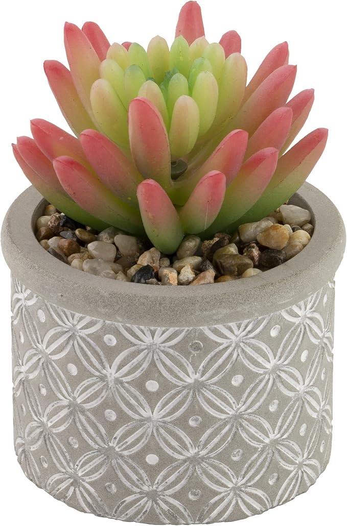 Boston International Decorative Faux Succulent Plants, Set of 6, Society of Succulents