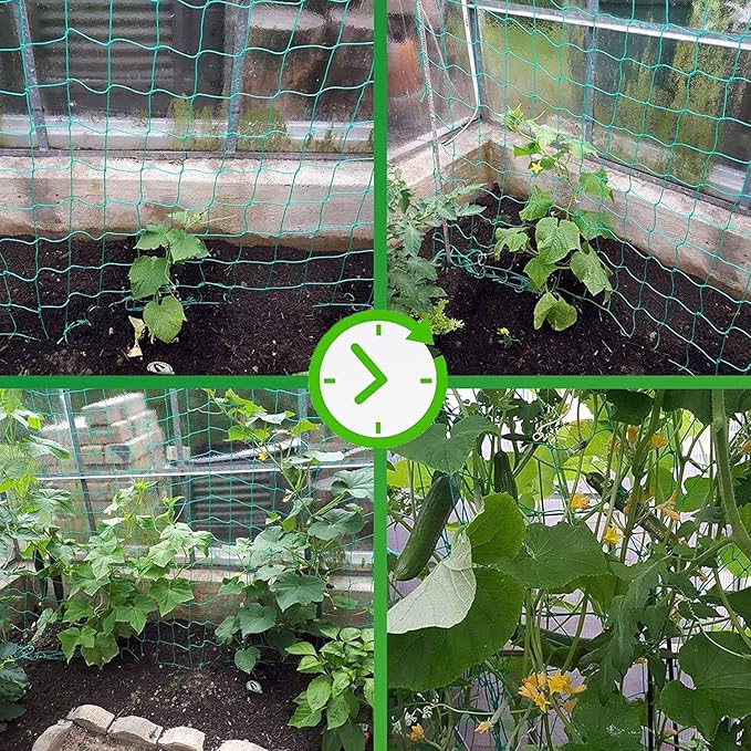 Trellis Netting for Climbing Plants - Heavy Duty Garden Trellis Netting for Cucumber, Vine, Fruits & Vegetables Tomato Plants Trellis Net, Climbing Vining Plants (2-Pack 3.3' x 6.6'Ft)