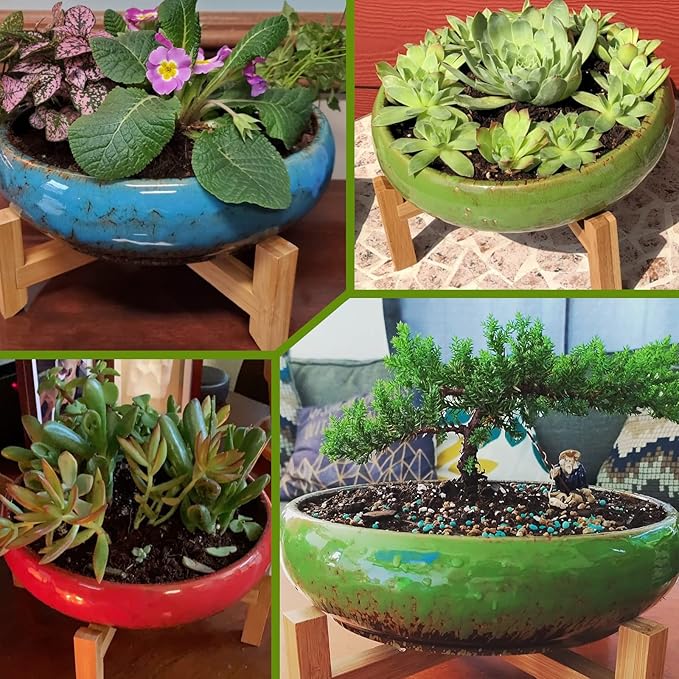 ARTKETTY Succulent Pots - 10 Inch Ceramic Bonsai Pots with Drainage Stand, Large Shallow Planters for Indoor Plants Decorative Garden Cactus Flower Plant Container Bowl