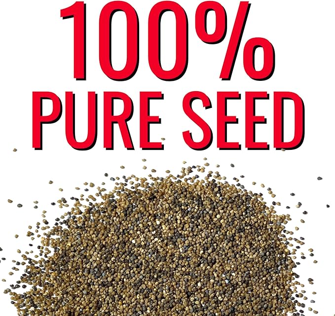 Seed Needs, Antique Shades Peony Poppy Seeds - 5,000 Heirloom Seeds for Planting Papaver paeoniflorum - Attracts Butterflies & Other Pollinators (5 Packs)