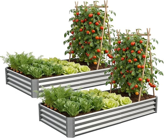 Galvanized Raised Garden Bed,Outdoor Planter Box Metal Patio Kit Planting Bed for Vegetables Flowers Herb (Galvanized, 6x3x1ft-2p)