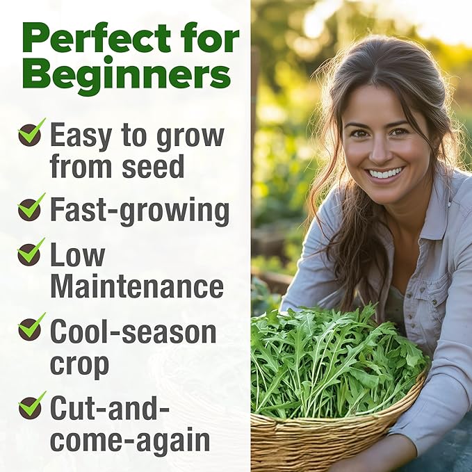 HOME GROWN Arugula Roquette Seeds 4350+ Bulk Pack Heirloom Non-GMO, High Germination, Peppery Salad Greens, Indoor Outdoor Hydroponic Garden, Microgreens, Year-Round Harvest (Eruca vesicaria)