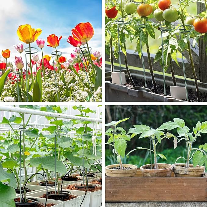 24 Inch 20 Packs Plant Support Stakes, Garden Single stemmed Plant Support Hoops Plant Prop for Flowers Orchid Tomatoes Peony Lily Rose Gladiolus (24 inch)