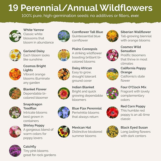 Eden Brothers Wyoming Wildflower Mixed Seeds for Planting, 1 lb, 480,000+ Seeds with Cornflower, Yarrow | Attracts Pollinators, Plant in Spring or Fall, Zones