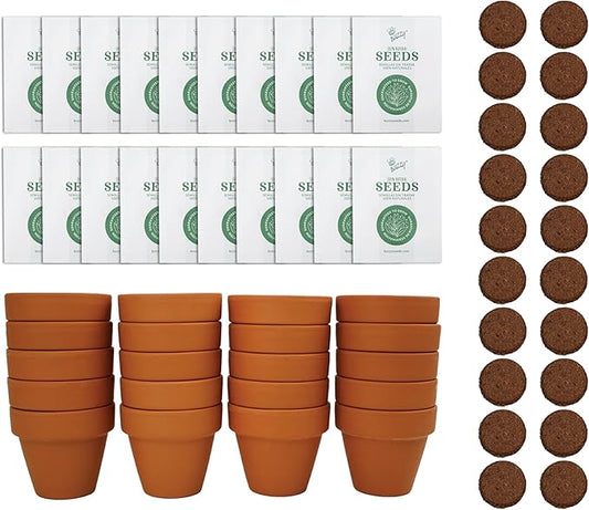 BUZZY Seeds Sunflower Seed Starter Kit Bulk 20 Pack – Mini Terracotta Grow Pots, Flower Gardening Kits for Wedding Favors & DIY Crafts