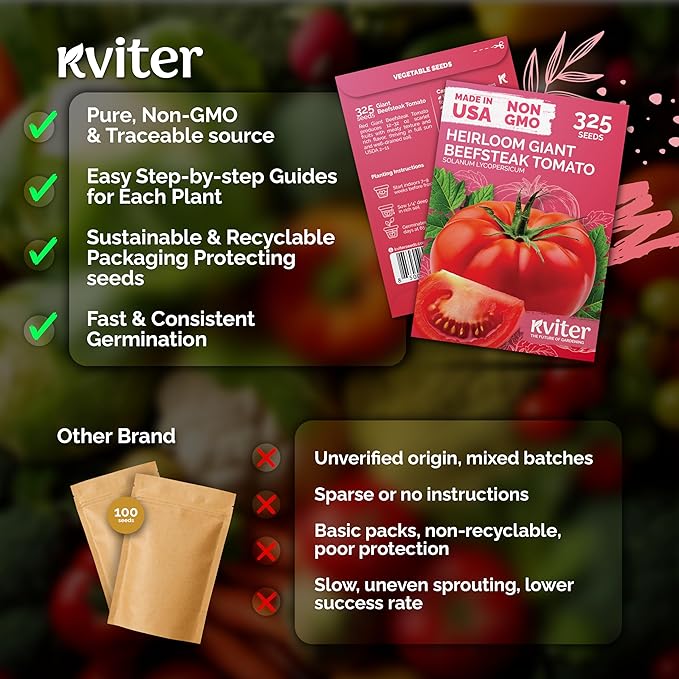KVITER 325 Giant Beefsteak Tomatoes Seeds (Solanum lycopersicum) – Beef Steak Tomato Seed Packets Heirloom Tomatoes – Non GMO Slicing Tomato Vegetable Seeds for Planting Home Garden, Indoor & Outdoor