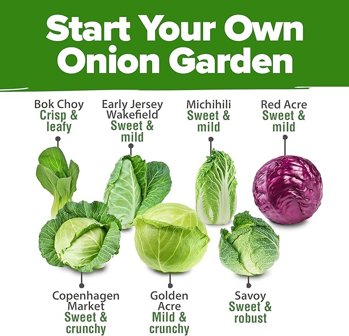 HOME GROWN Cabbage Seeds 7 Variety Mix 2000+ Heirloom Non-GMO, High Germination, Bok Choy, Red & Green Acre, Savoy, Napa Michihili, Copenhagen Market, Jersey Wakefield, Cold Hardy