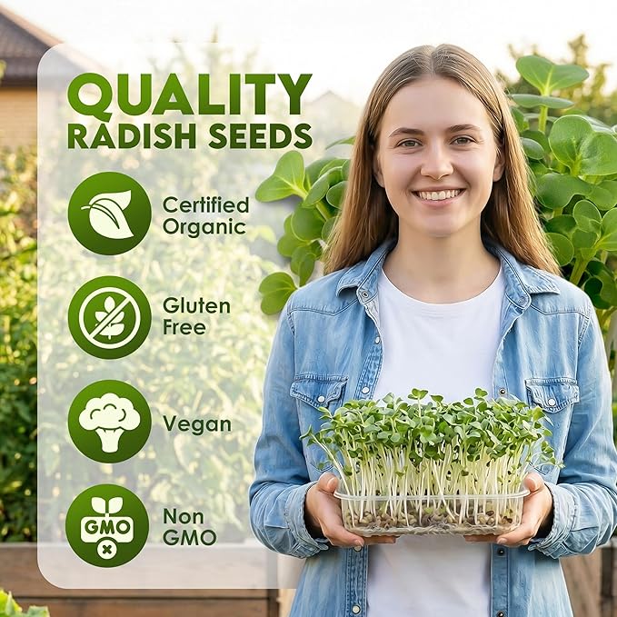 Nature Jims Organic Radish Sprout Seeds – 16 Ounce Premium Non-GMO Radish Seeds for Sprouting, Rich in Vitamins, Minerals, Fiber & Protein – Microgreen & Sprout Seeds for Home Growing
