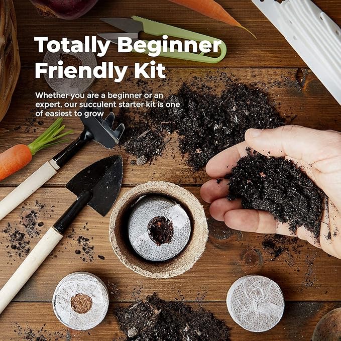 Vegetable Seeds Gift Set - Easily Grow Your Own 10 Vegetable Seeds Starter Kit | Beginner Friendly Vegetable Grow Kit - Unique Gift Idea