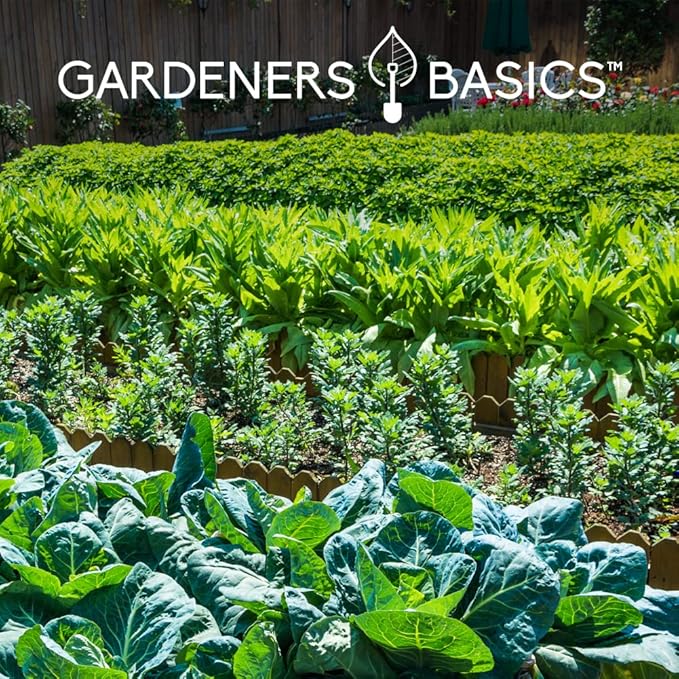 Gardeners Basics Seed Safe Kit - 35 Easy to Grow Heirloom Vegetable Seeds for Beginners - Non GMO Garden Starter Set with 17,000+ Seeds - Gardening Gift for Families