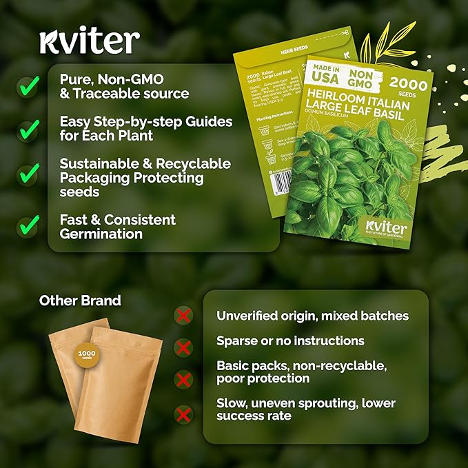KVITER 2000 Italian Basil Seeds for Planting (Ocimum basilicum) - Sweet Genovese Basil, Heirloom & Non GMO, Classic Pesto Flavor - Herb Seeds to Plant in Containers, Outdoor & Indoor Herb Garden