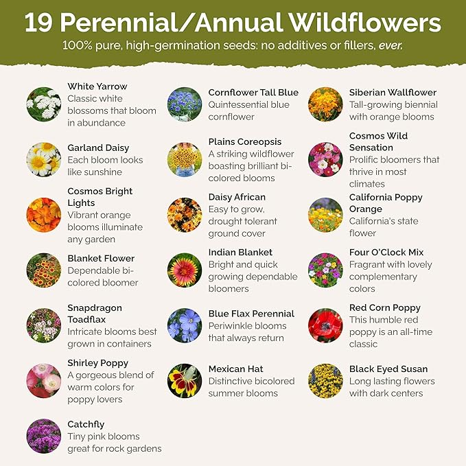 Eden Brothers Dry Area Wildflower Mixed Seeds for Planting, 1 lb, 480,000+ Seeds with Cosmos, African Daisy, Blue Flax | Attracts Pollinators, Plant in Spring or Fall, Zones 3, 4, 5, 6, 7, 8, 9, 10