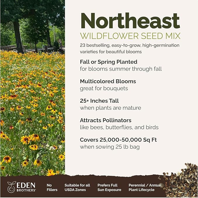 Eden Brothers Northeast Wildflower Mixed Seeds for Planting, 25 lb, 12,000,000+ Seeds with Cosmos, Candytuft, Shasta Daisy, Attracts Pollinators, Plant in Spring or Fall, Zones 3, 4, 5, 6, 7, 8, 9, 10