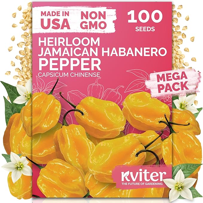 KVITER 100 Yellow Hot Jamaican Habanero Pepper Seeds (Capsicum Chinense) - Mushroom Chile Pepper, Relatively Mild Flavor, Non GMO Seed - Vegetable Seeds in Seed Packets for Outdoor Garden, Conteiners