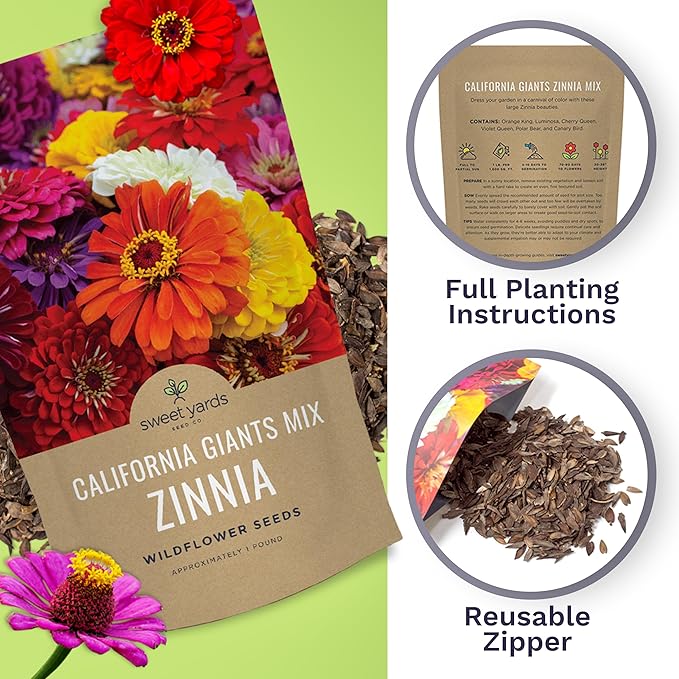 Bulk Zinnia Seeds - California Giants Mix - 1 Pound Bag Over 48,000 Flower Seeds - Mixed Colors and Large Blooms