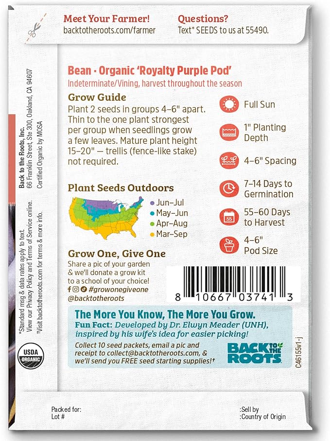 Back to the Roots 100% Organic Heirloom Seeds - Bean 'Royalty Purple Pod' Value Pack