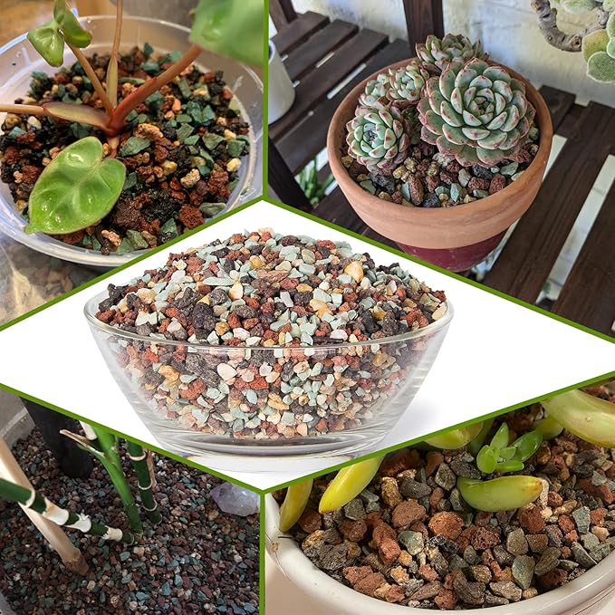 Large Succulent Pots with Drainage & Stand, 10 inch Ceramic Succulent Planter for indoor Plants plus Decorative Rock Stone Pebbles 2.2lb & Garden Tools Set, Perfect for Bonsai, Cactus Beginner