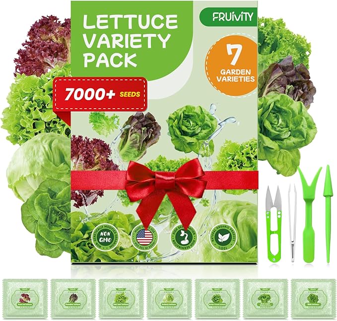 7000+ Organic Lettuce Seeds Collection - 7 Variety Heirloom Lettuce Mix Romaine, Iceberg Lettuce etc Non-GMO, Seeds for Planting Vegetable for Hydroponics or Garden (7 PCS)