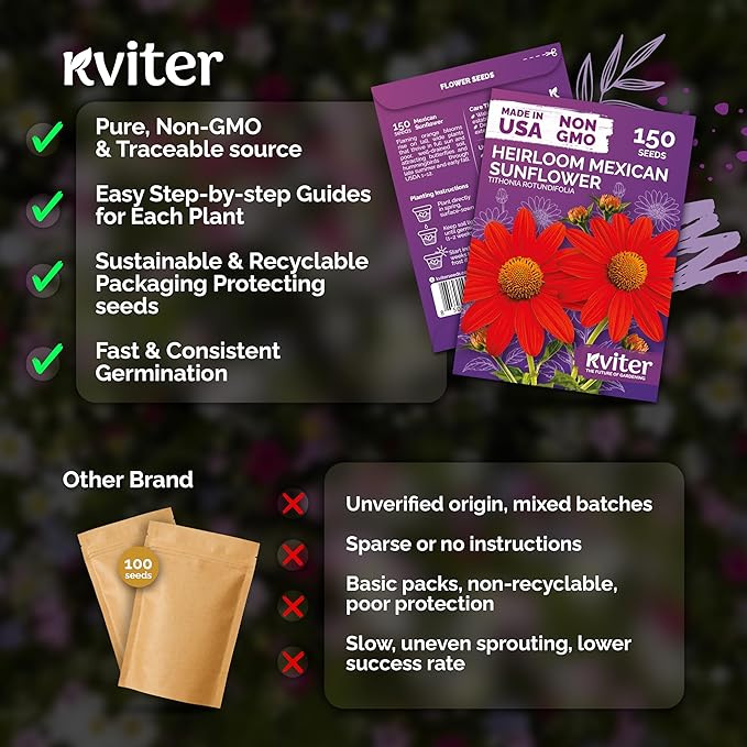 KVITER 150 Mexican Sunflower Seeds For Planting (Tithonia rotundifolia) – Tithonia Seed Packets Bulk, Red Sunflower Heirloom Seed Orange Sunflowers – Flower Seeds Garden Beds and Outdoor Flower Garden