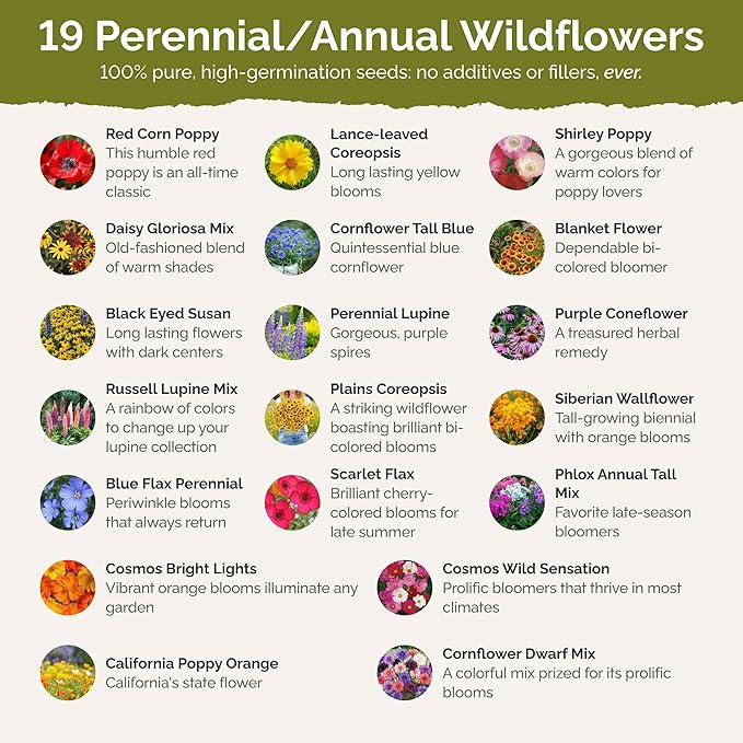Eden Brothers Burst of Bloom Wildflower Mixed Seeds for Planting, 10 lb, 4,800,000+ Seeds with Cosmos, Black Eyed Susan | Attracts Pollinators, Plant in Spring or Fall, Zones 3, 4, 5, 6, 7, 8, 9, 10