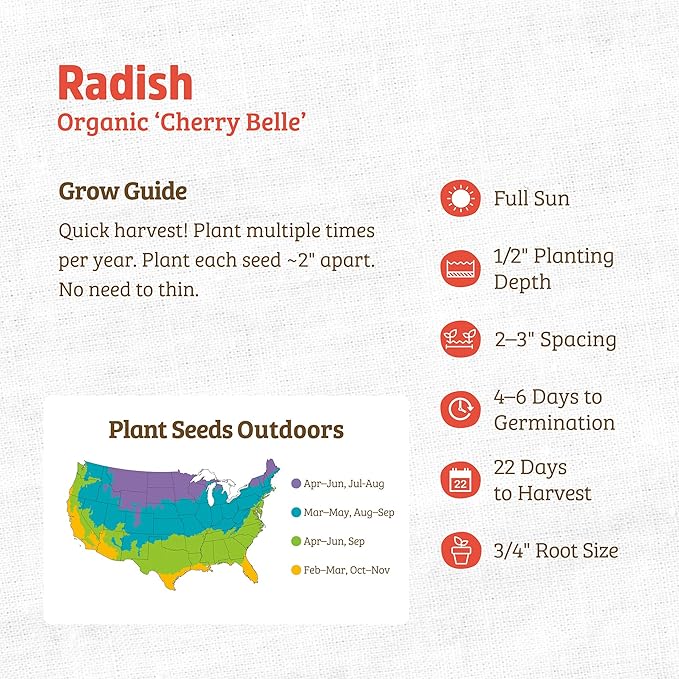 Back to The Roots 100% Organic Seed Packet - Radish 'Cherry Belle' 1.4g