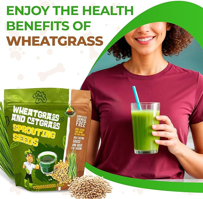 Todd's Seeds Wheatgrass Seeds; Hard Red Winter Wheat, Non-GMO, Chemical Free, High Germination (One Pound)